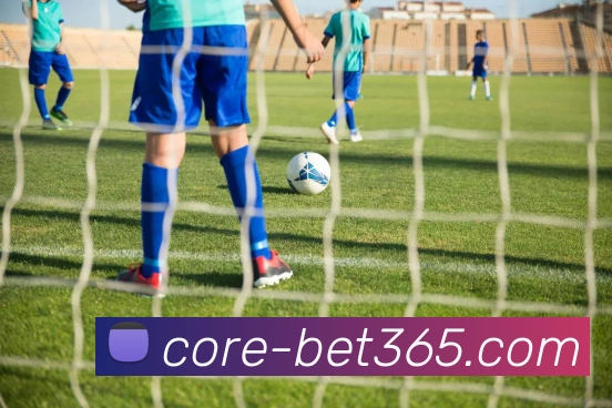 bet365平台生态图